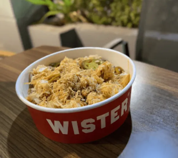 WISTER ® ويستر