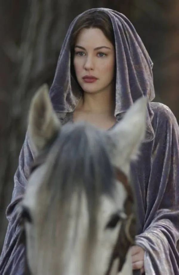 The Lord of the Rings: The Return of the King