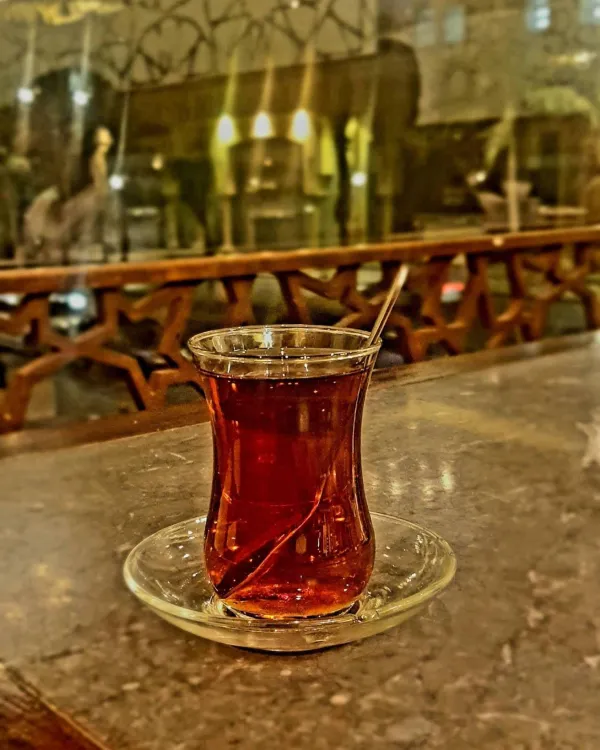 سرايا لطيف