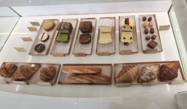 ارابيكا كافيه