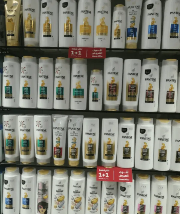 المجتمع