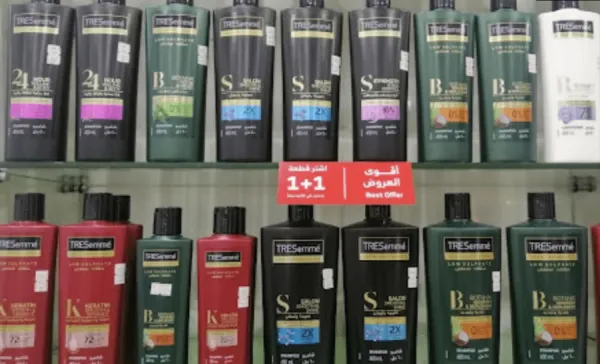 المجتمع