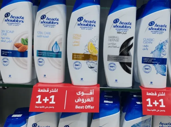 المجتمع
