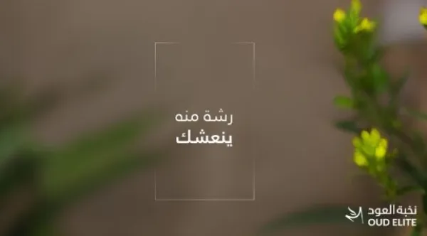 نخبة العود