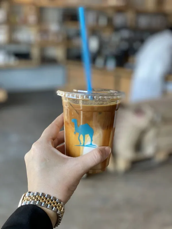 خطوة جمل