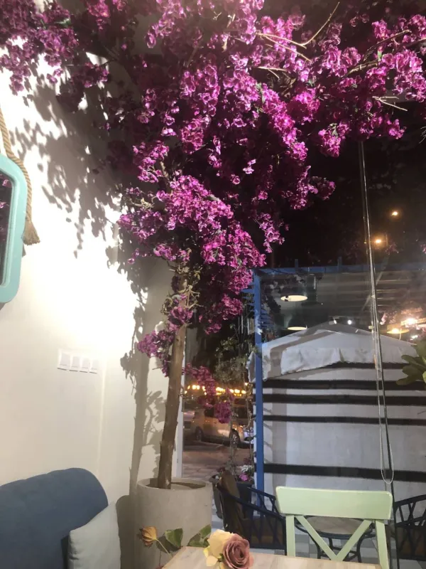 Hampila Cafe هامبيلا