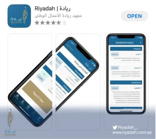 معهد ريادة الأعمال الوطني
