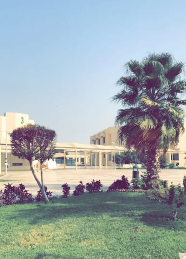 الفيصل