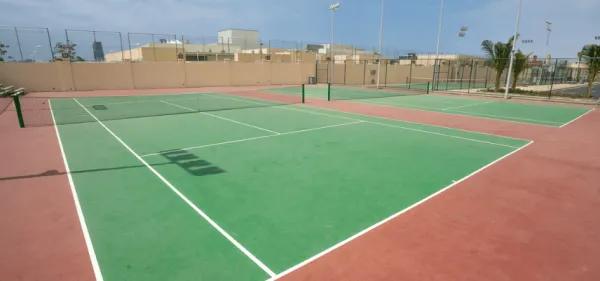 الامريكية الدولية